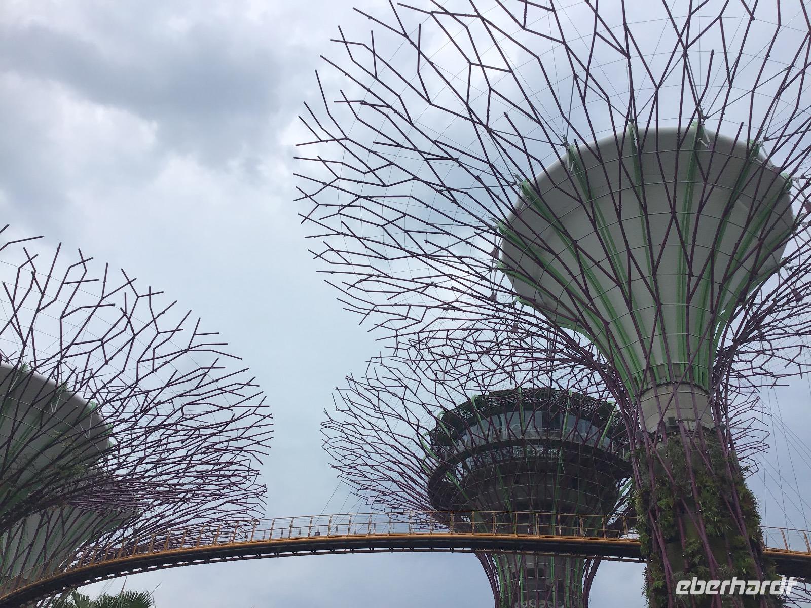 Gardens by the Bay - Singapur &ndash; &copy; Sabine Letzybyll (Eberhardt TRAVEL)