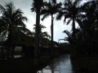 tropischer Regen &ndash; &copy; Sabine Letzybyll (Eberhardt TRAVEL)