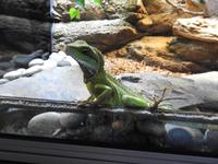Aquarium &ndash; &copy; Sabine Letzybyll (Eberhardt TRAVEL)