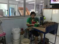 Cashewnussfabrik &ndash; &copy; Sabine Letzybyll (Eberhardt TRAVEL)