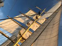 Star Clipper &ndash; &copy; Sabine Letzybyll (Eberhardt TRAVEL)