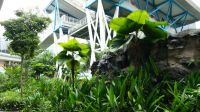 Am Singapore Flyer &ndash; &copy; Annika Lembke (Eberhardt TRAVEL)