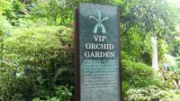Botanischer Garten - Orchideen Garten (7) &ndash; &copy; Annika Lembke (Eberhardt TRAVEL)