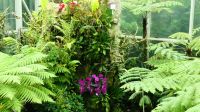 Botanischer Garten - Orchideen Garten (19) &ndash; &copy; Annika Lembke (Eberhardt TRAVEL)