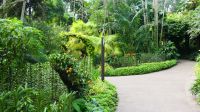 Botanischer Garten - Orchideen Garten (27) &ndash; &copy; Annika Lembke (Eberhardt TRAVEL)