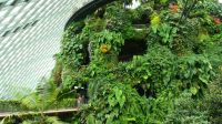Cloud Forest (1) &ndash; &copy; Annika Lembke (Eberhardt TRAVEL)
