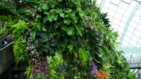 Cloud Forest (3) &ndash; &copy; Annika Lembke (Eberhardt TRAVEL)