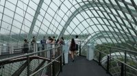 Cloud Forest (4) &ndash; &copy; Annika Lembke (Eberhardt TRAVEL)