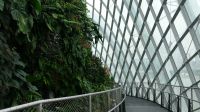 Cloud Forest (6) &ndash; &copy; Annika Lembke (Eberhardt TRAVEL)