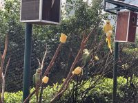 Vogelpark Kuala Lumpur (2) &ndash; &copy; Annika Lembke (Eberhardt TRAVEL)