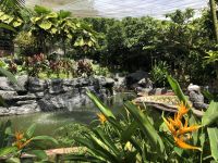 Vogelpark Kuala Lumpur (3) &ndash; &copy; Annika Lembke (Eberhardt TRAVEL)