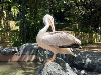 Vogelpark Kuala Lumpur (4) &ndash; &copy; Annika Lembke (Eberhardt TRAVEL)