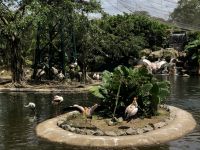 Vogelpark Kuala Lumpur (7) &ndash; &copy; Annika Lembke (Eberhardt TRAVEL)