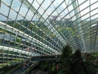 Cloud Forest  &ndash; &copy; Monika Cortese (Eberhardt TRAVEL)