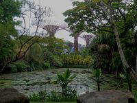 Garden by the bay  &ndash; &copy; Monika Cortese (Eberhardt TRAVEL)