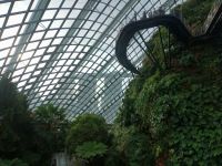 Cloud Forest  &ndash; &copy; Monika Cortese (Eberhardt TRAVEL)