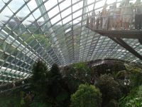 Cloud Forest  &ndash; &copy; Monika Cortese (Eberhardt TRAVEL)