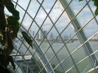 Cloud Forest  &ndash; &copy; Monika Cortese (Eberhardt TRAVEL)