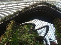 Cloud Forest  &ndash; &copy; Monika Cortese (Eberhardt TRAVEL)