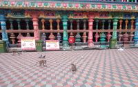 Batu-Höhlen &ndash; &copy; Monika Cortese (Eberhardt TRAVEL)