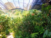 Schmetterlingsgarten &ndash; &copy; Monika Cortese (Eberhardt TRAVEL)