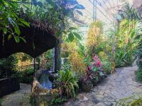 Schmetterlingsgarten &ndash; &copy; Monika Cortese (Eberhardt TRAVEL)