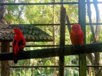 Vogelpark 