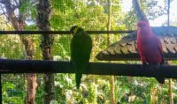 Vogelpark  &ndash; &copy; Monika Cortese (Eberhardt TRAVEL)