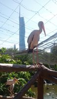 Vogelpark  &ndash; &copy; Monika Cortese (Eberhardt TRAVEL)