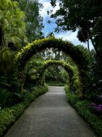 Orchideen Garten &ndash; &copy; Shari Hecker (Eberhardt TRAVEL)