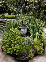 Orchideen Garten &ndash; &copy; Shari Hecker (Eberhardt TRAVEL)