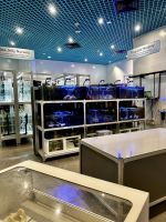 S.E.A. Oceanarium &ndash; &copy; Shari Hecker (Eberhardt TRAVEL)