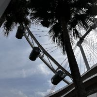 Singapur Flyer &ndash; &copy; Shari Hecker (Eberhardt TRAVEL)