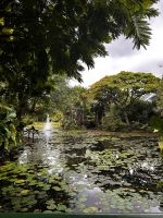 Gardens by the Bay &ndash; &copy; Shari Hecker (Eberhardt TRAVEL)