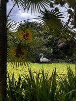 Gardens by the Bay &ndash; &copy; Shari Hecker (Eberhardt TRAVEL)