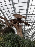 Flower Dome &ndash; &copy; Shari Hecker (Eberhardt TRAVEL)