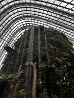 Cloud Forest &ndash; &copy; Shari Hecker (Eberhardt TRAVEL)