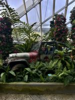 Cloud Forest &ndash; &copy; Shari Hecker (Eberhardt TRAVEL)