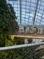 Cloud Forest &ndash; &copy; Shari Hecker (Eberhardt TRAVEL)