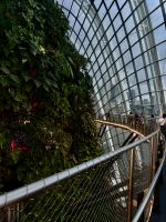Cloud Forest &ndash; &copy; Shari Hecker (Eberhardt TRAVEL)