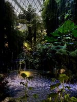Cloud Forest &ndash; &copy; Shari Hecker (Eberhardt TRAVEL)