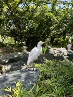 Vogelpark Kuala Lumpur &ndash; &copy; Shari Hecker (Eberhardt TRAVEL)