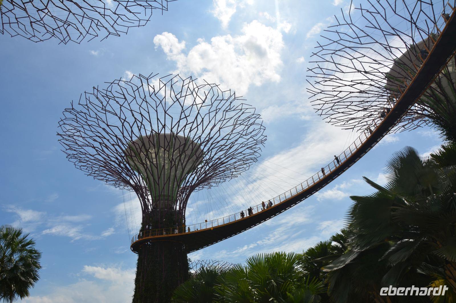 175 Supertrees Garden by the Bay &ndash; &copy; Maria Schneider (Eberhardt TRAVEL)