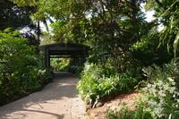 19 Orchideengarten Singapur &ndash; &copy; Maria Schneider (Eberhardt TRAVEL)