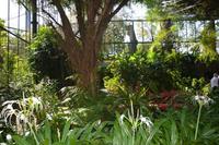 95 Schmetteringspark Sentosa &ndash; &copy; Maria Schneider (Eberhardt TRAVEL)