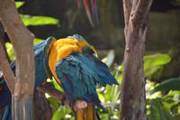 99 Schmetteringspark Sentosa &ndash; &copy; Maria Schneider (Eberhardt TRAVEL)