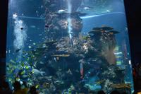 118 Aquarium Sentosa &ndash; &copy; Maria Schneider (Eberhardt TRAVEL)