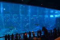 121 Aquarium Sentosa &ndash; &copy; Maria Schneider (Eberhardt TRAVEL)