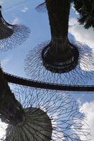174 Supertrees Garden by the Bay &ndash; &copy; Maria Schneider (Eberhardt TRAVEL)