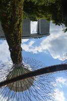 176 Supertrees Garden by the Bay &ndash; &copy; Maria Schneider (Eberhardt TRAVEL)